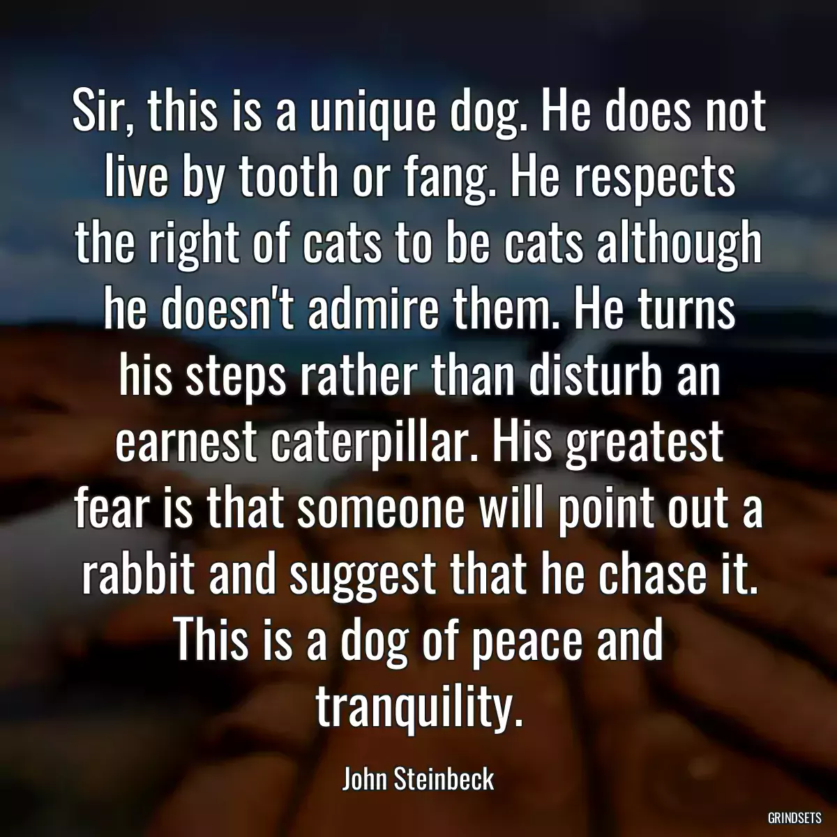 Sir, this is a unique dog. He does not live by tooth or fang. He respects the right of cats to be cats although he doesn\'t admire them. He turns his steps rather than disturb an earnest caterpillar. His greatest fear is that someone will point out a rabbit and suggest that he chase it. This is a dog of peace and tranquility.