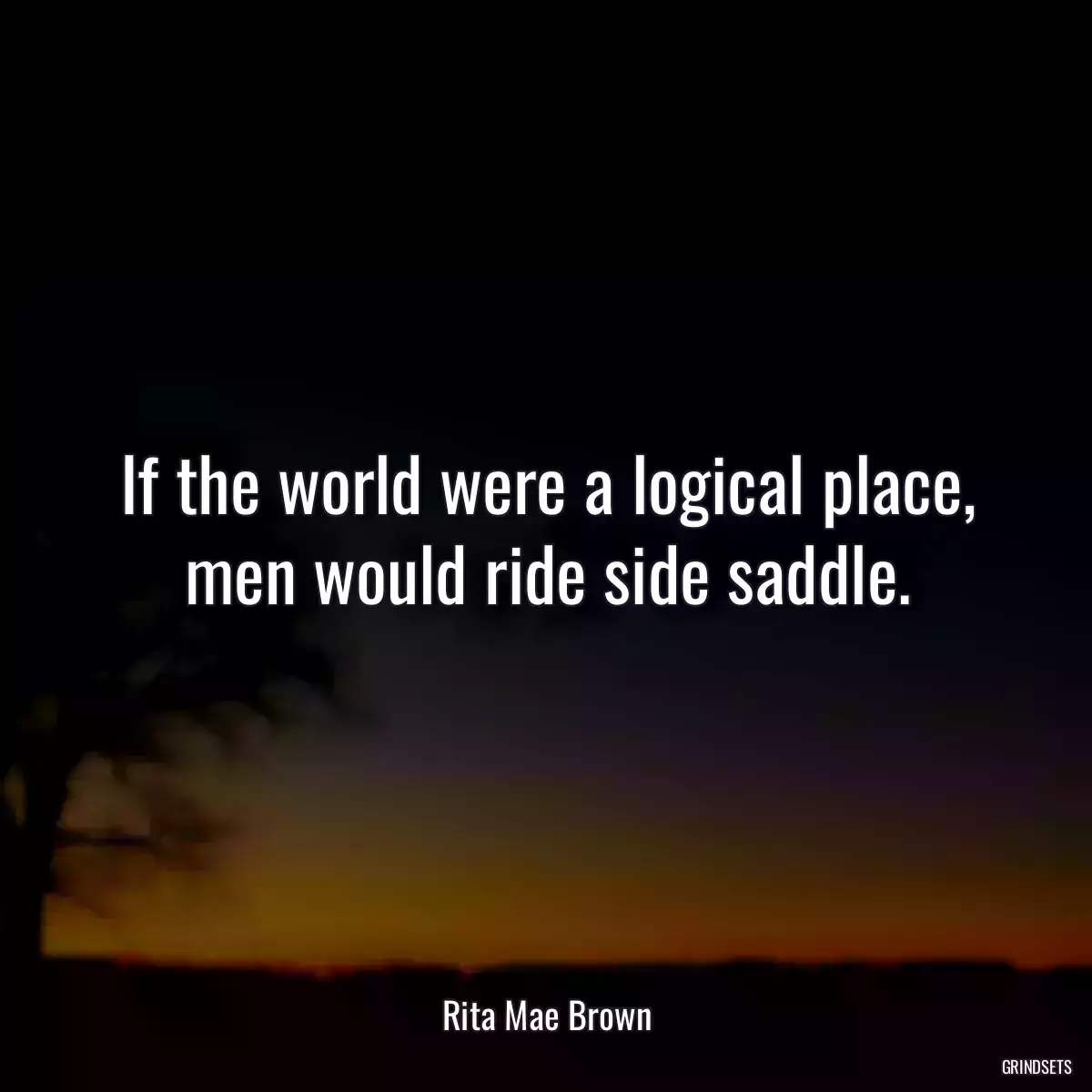 If the world were a logical place, men would ride side saddle.