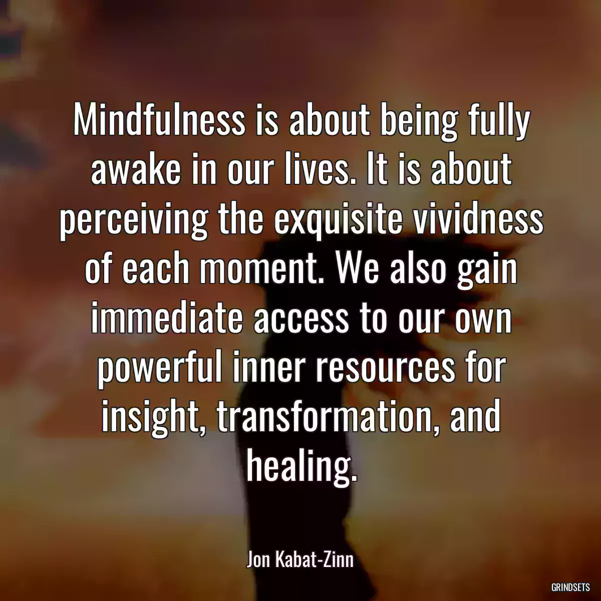 Mindfulness is about being fully awake in our lives. It is about perceiving the exquisite vividness of each moment. We also gain immediate access to our own powerful inner resources for insight, transformation, and healing.