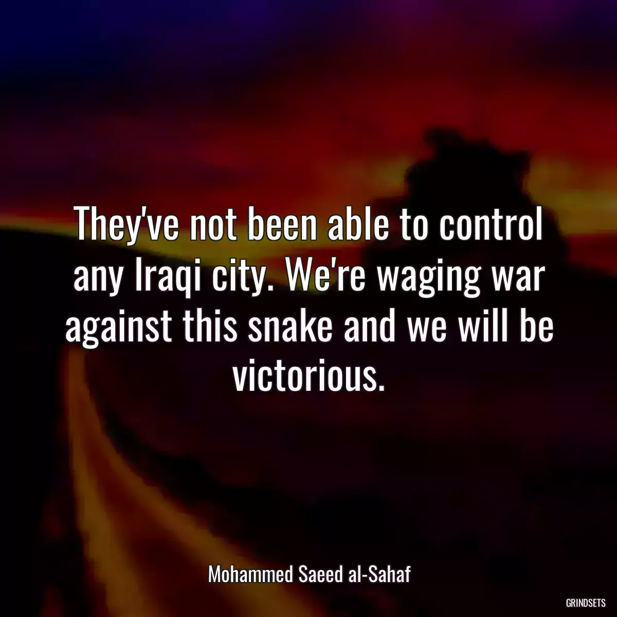 They\'ve not been able to control any Iraqi city. We\'re waging war against this snake and we will be victorious.