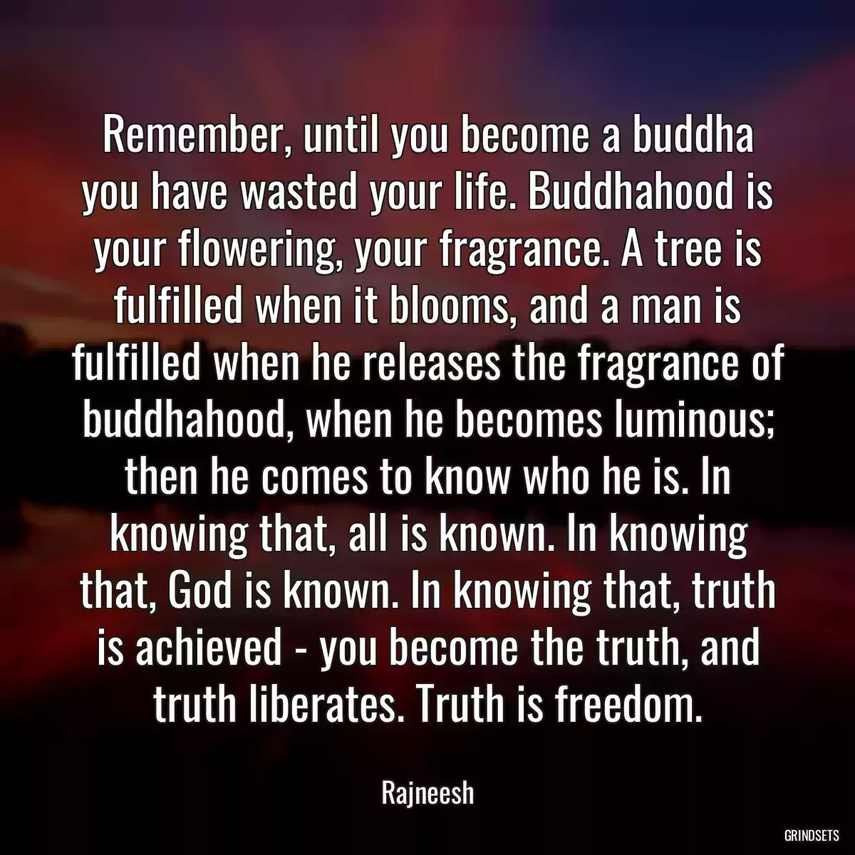 Remember, until you become a buddha you have wasted your life. Buddhahood is your flowering, your fragrance. A tree is fulfilled when it blooms, and a man is fulfilled when he releases the fragrance of buddhahood, when he becomes luminous; then he comes to know who he is. In knowing that, all is known. In knowing that, God is known. In knowing that, truth is achieved - you become the truth, and truth liberates. Truth is freedom.