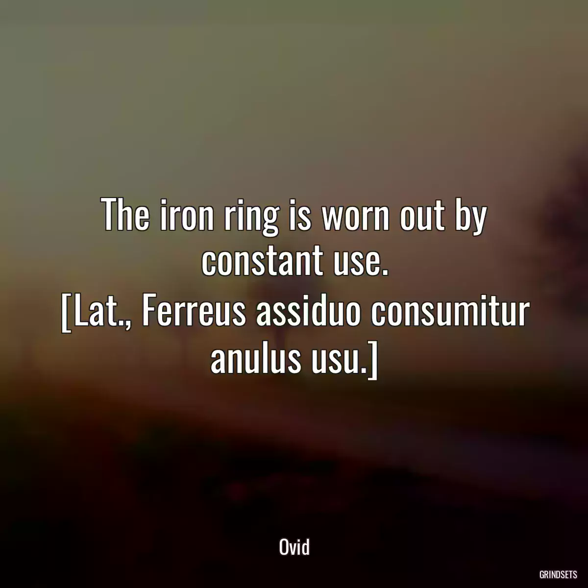 The iron ring is worn out by constant use.
[Lat., Ferreus assiduo consumitur anulus usu.]