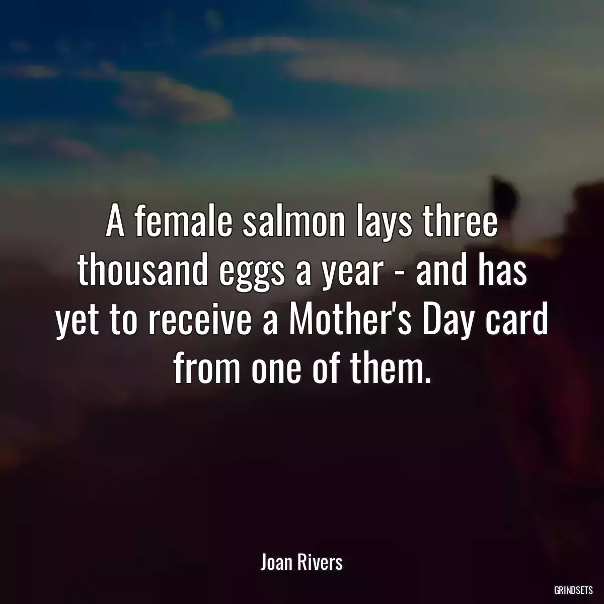 A female salmon lays three thousand eggs a year - and has yet to receive a Mother\'s Day card from one of them.