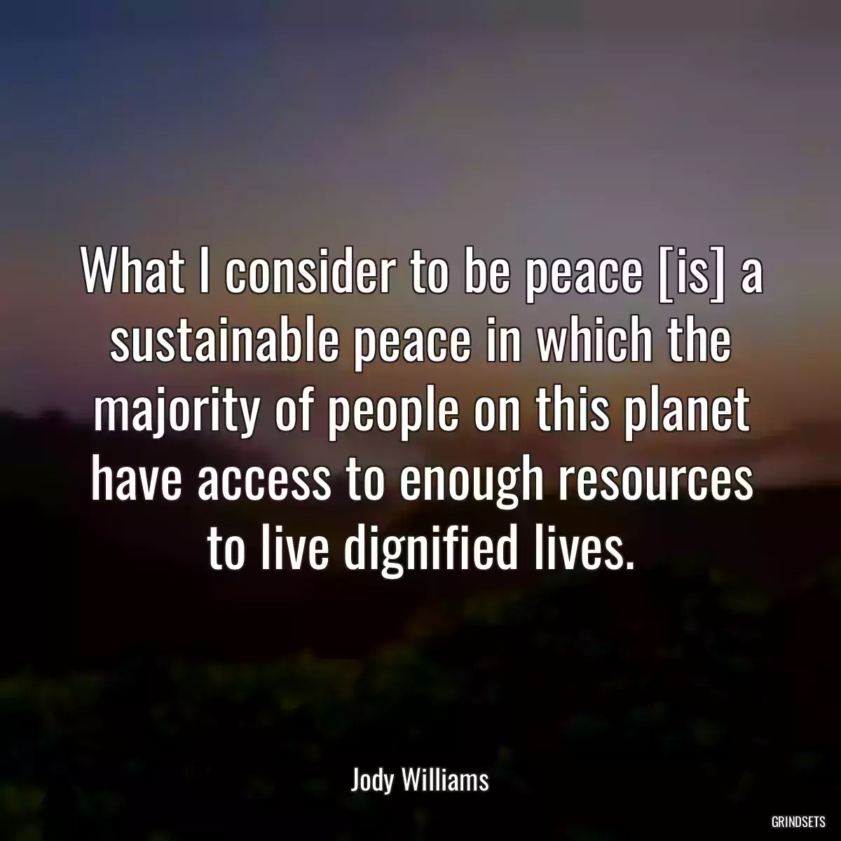 What I consider to be peace [is] a sustainable peace in which the majority of people on this planet have access to enough resources to live dignified lives.