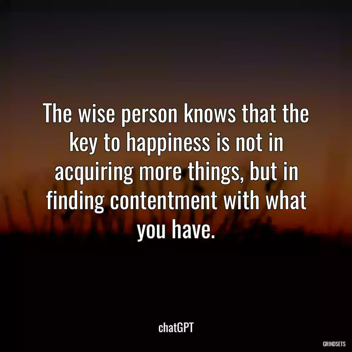 The wise person knows that the key to happiness is not in acquiring more things, but in finding contentment with what you have.