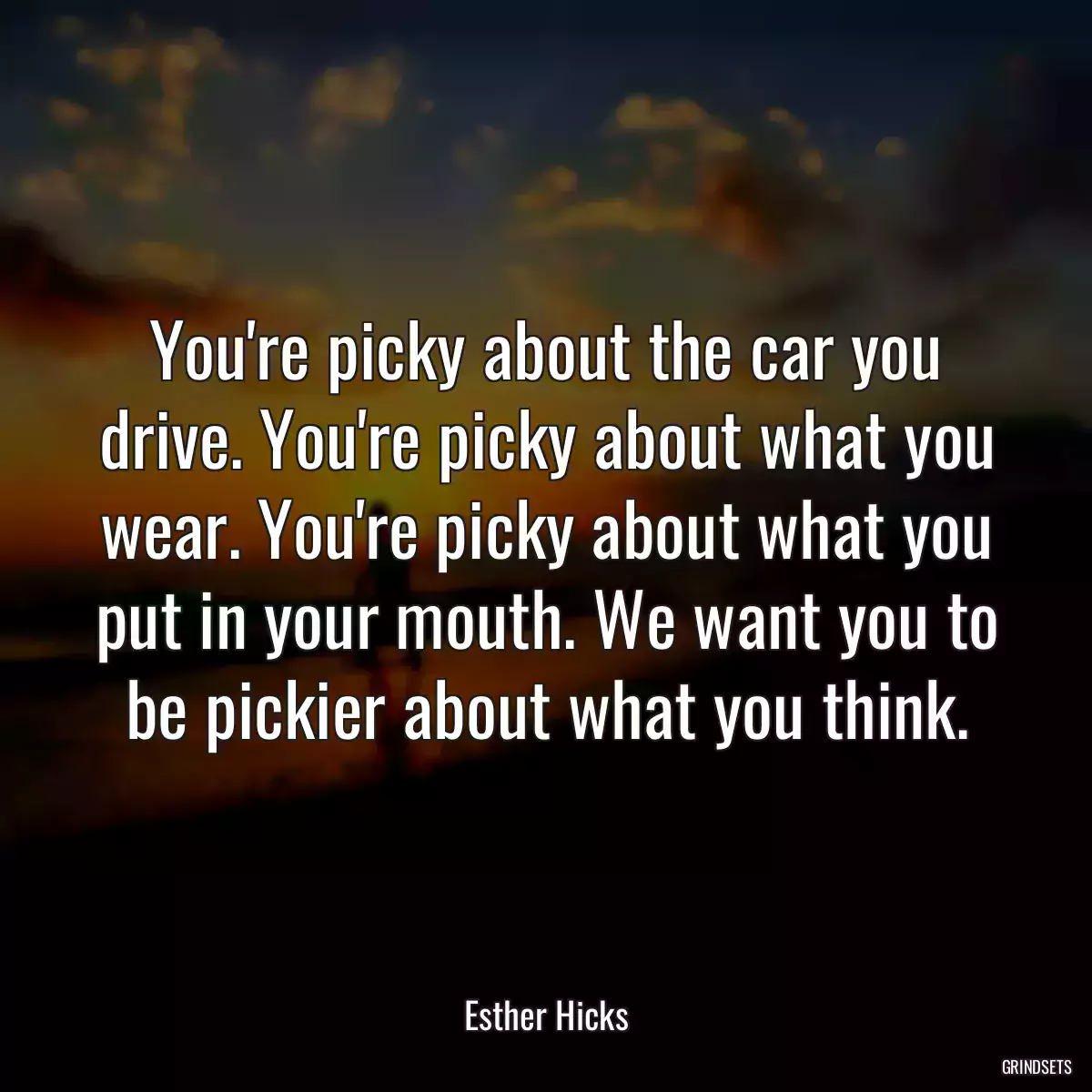 You\'re picky about the car you drive. You\'re picky about what you wear. You\'re picky about what you put in your mouth. We want you to be pickier about what you think.