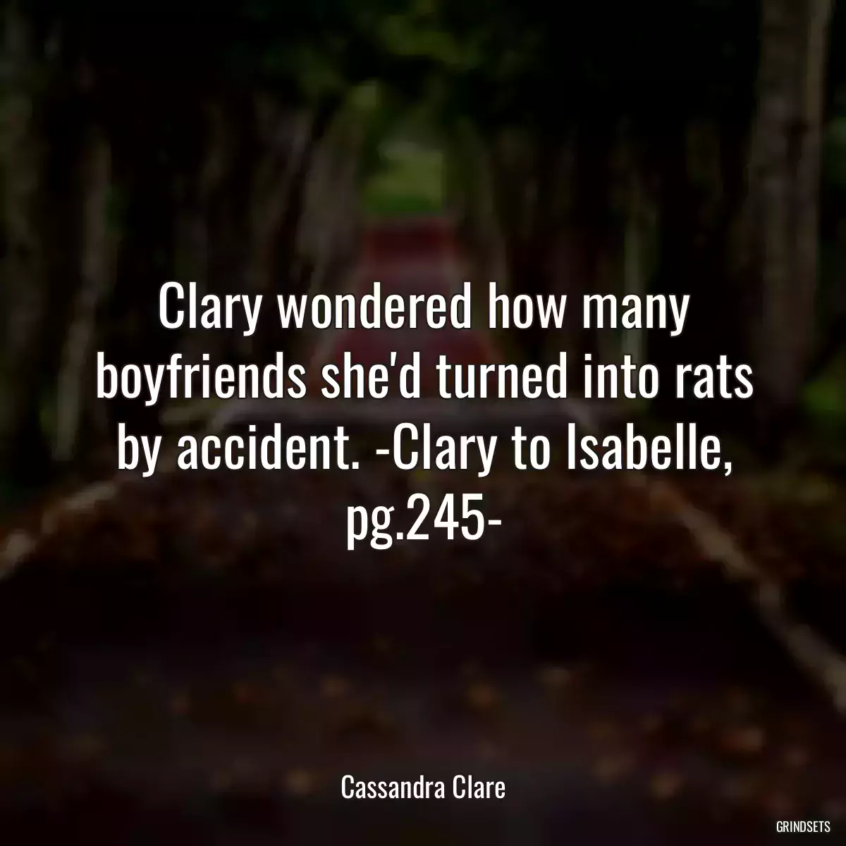 Clary wondered how many boyfriends she\'d turned into rats by accident. -Clary to Isabelle, pg.245-