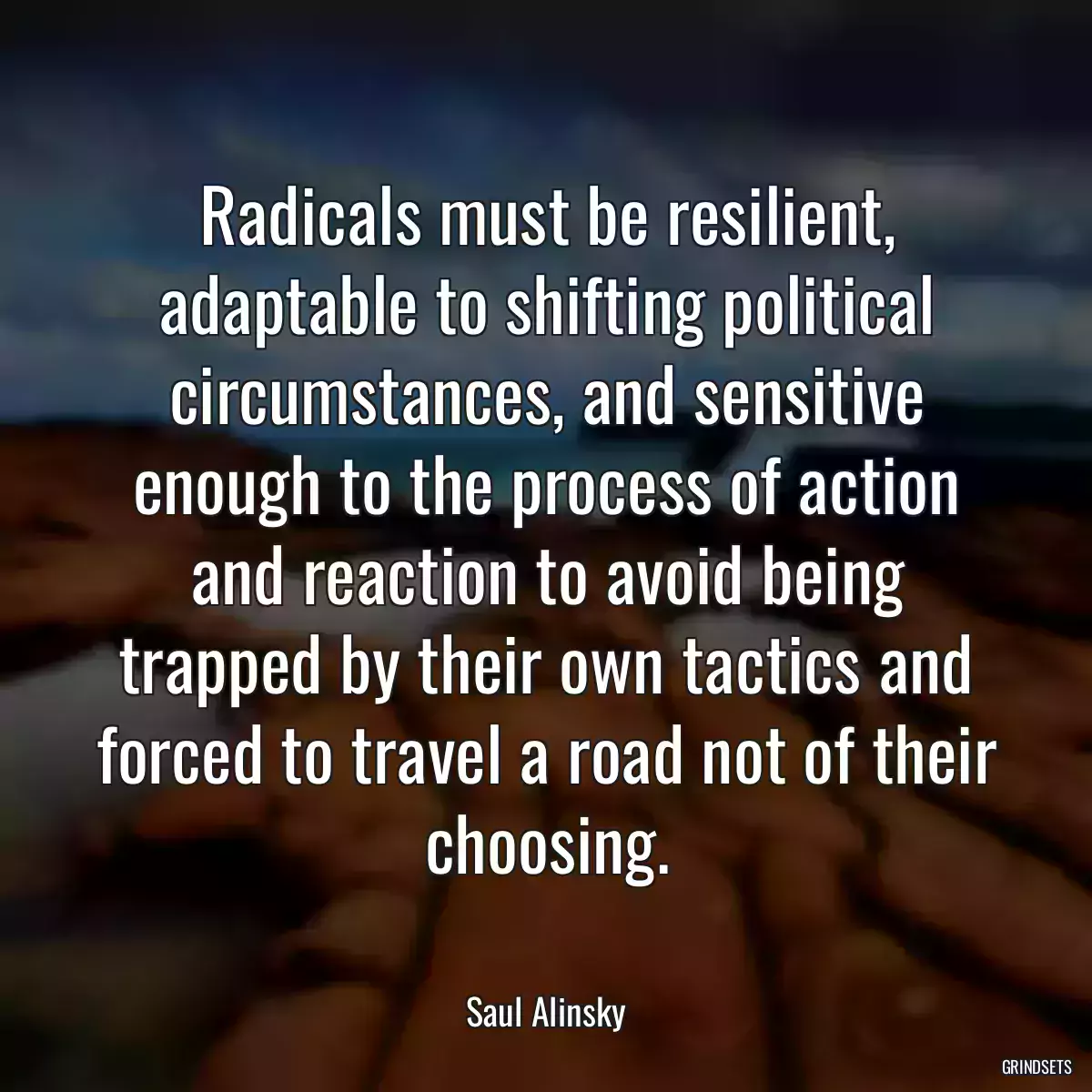 Radicals must be resilient, adaptable to shifting political circumstances, and sensitive enough to the process of action and reaction to avoid being trapped by their own tactics and forced to travel a road not of their choosing.