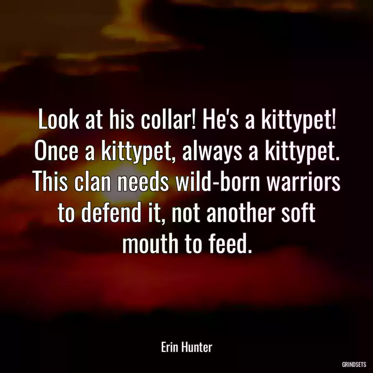 Look at his collar! He\'s a kittypet! Once a kittypet, always a kittypet. This clan needs wild-born warriors to defend it, not another soft mouth to feed.