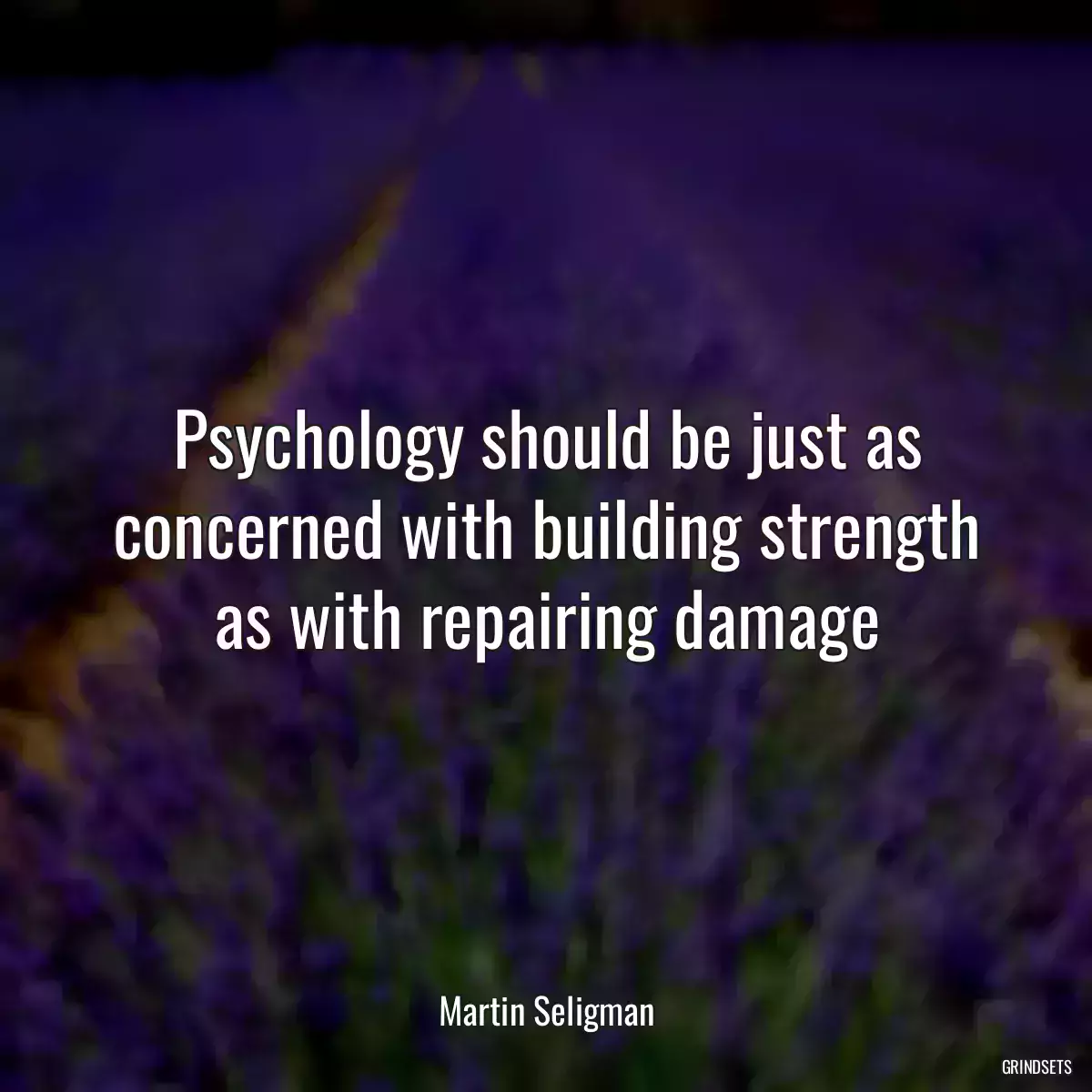 Psychology should be just as concerned with building strength as with repairing damage