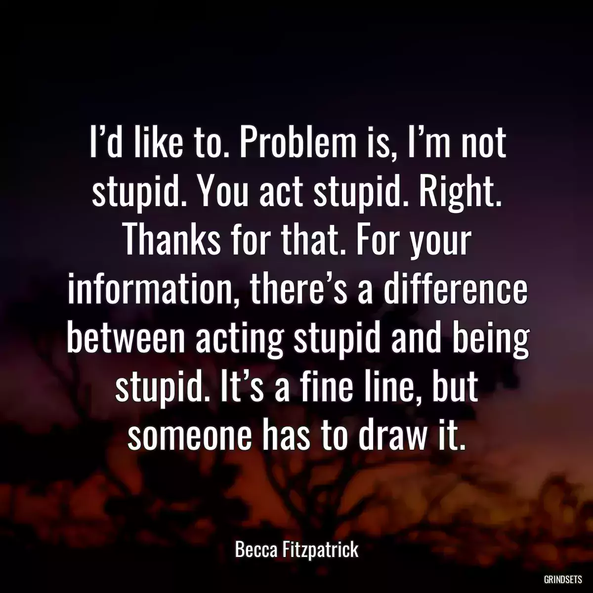 I’d like to. Problem is, I’m not stupid. You act stupid. Right. Thanks for that. For your information, there’s a difference between acting stupid and being stupid. It’s a fine line, but someone has to draw it.