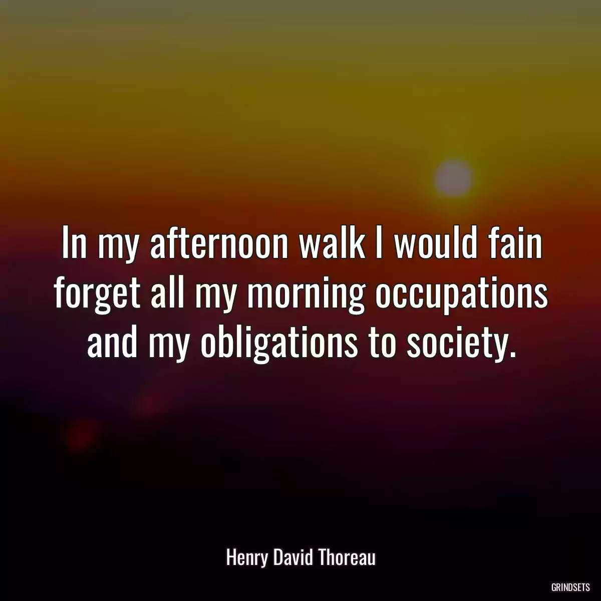 In my afternoon walk I would fain forget all my morning occupations and my obligations to society.