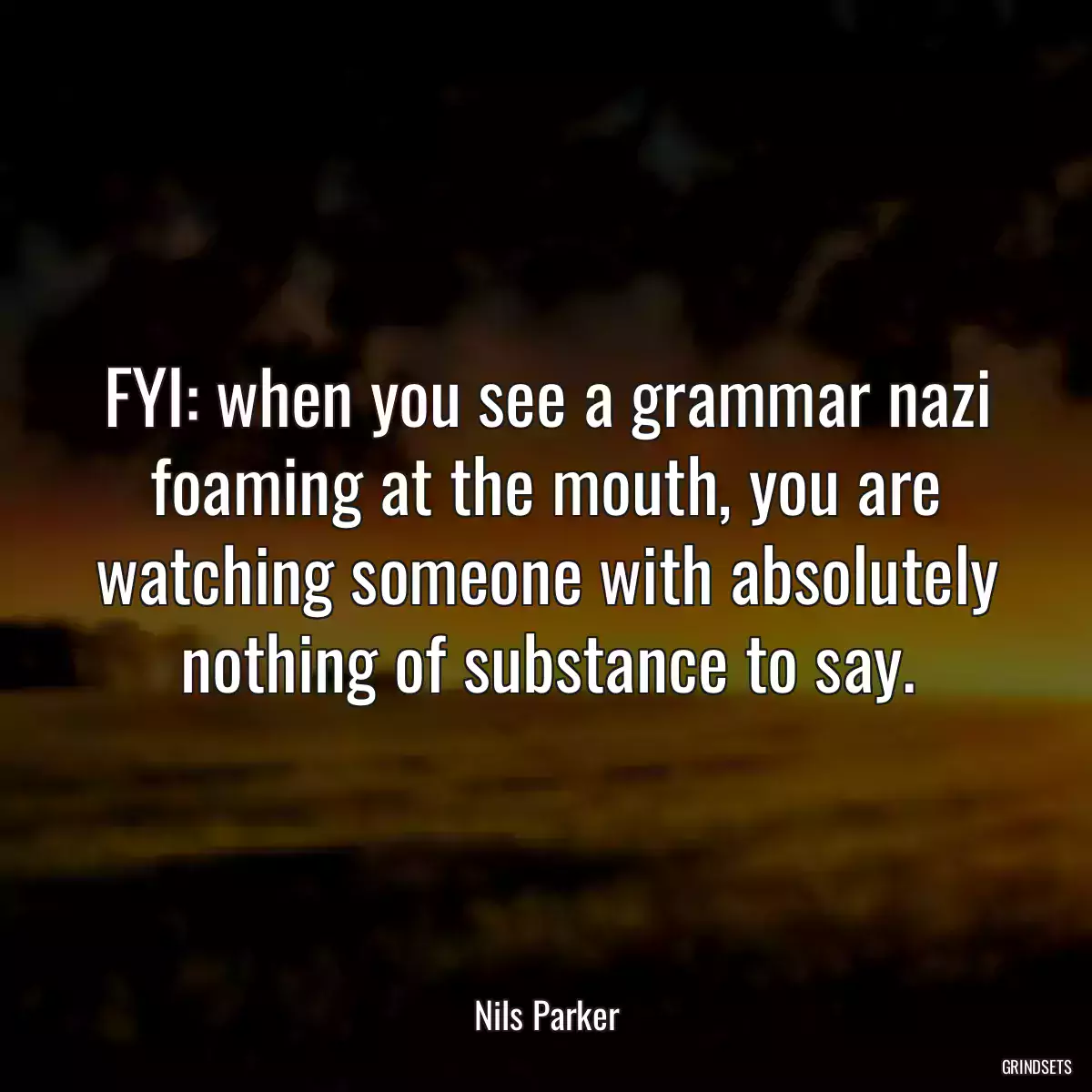 FYI: when you see a grammar nazi foaming at the mouth, you are watching someone with absolutely nothing of substance to say.