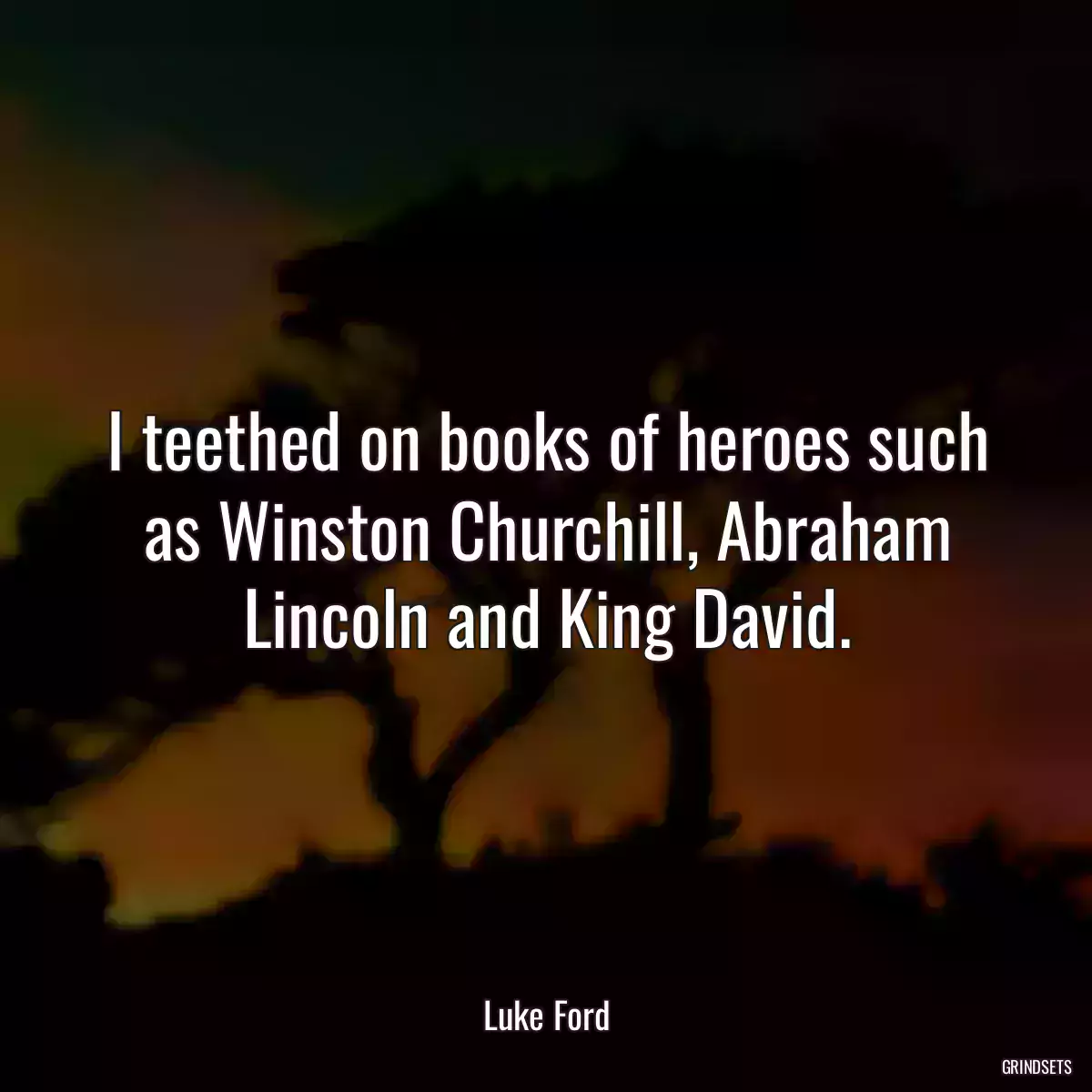 I teethed on books of heroes such as Winston Churchill, Abraham Lincoln and King David.