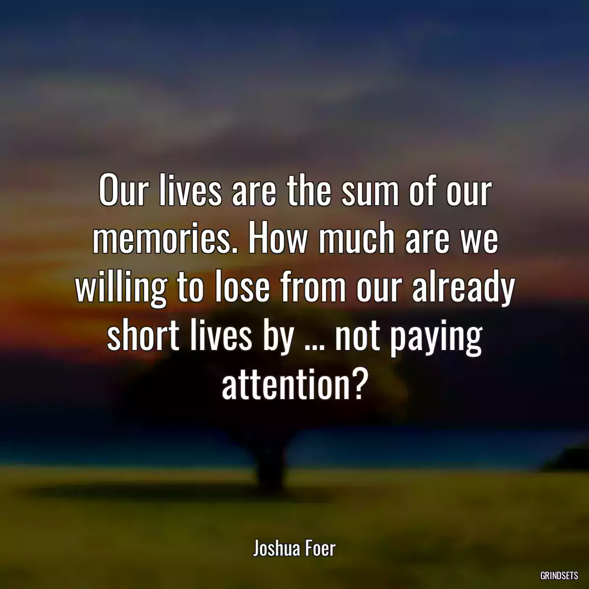 Our lives are the sum of our memories. How much are we willing to lose from our already short lives by … not paying attention?