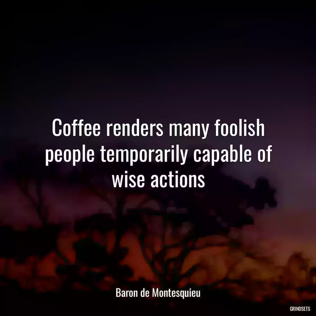 Coffee renders many foolish people temporarily capable of wise actions