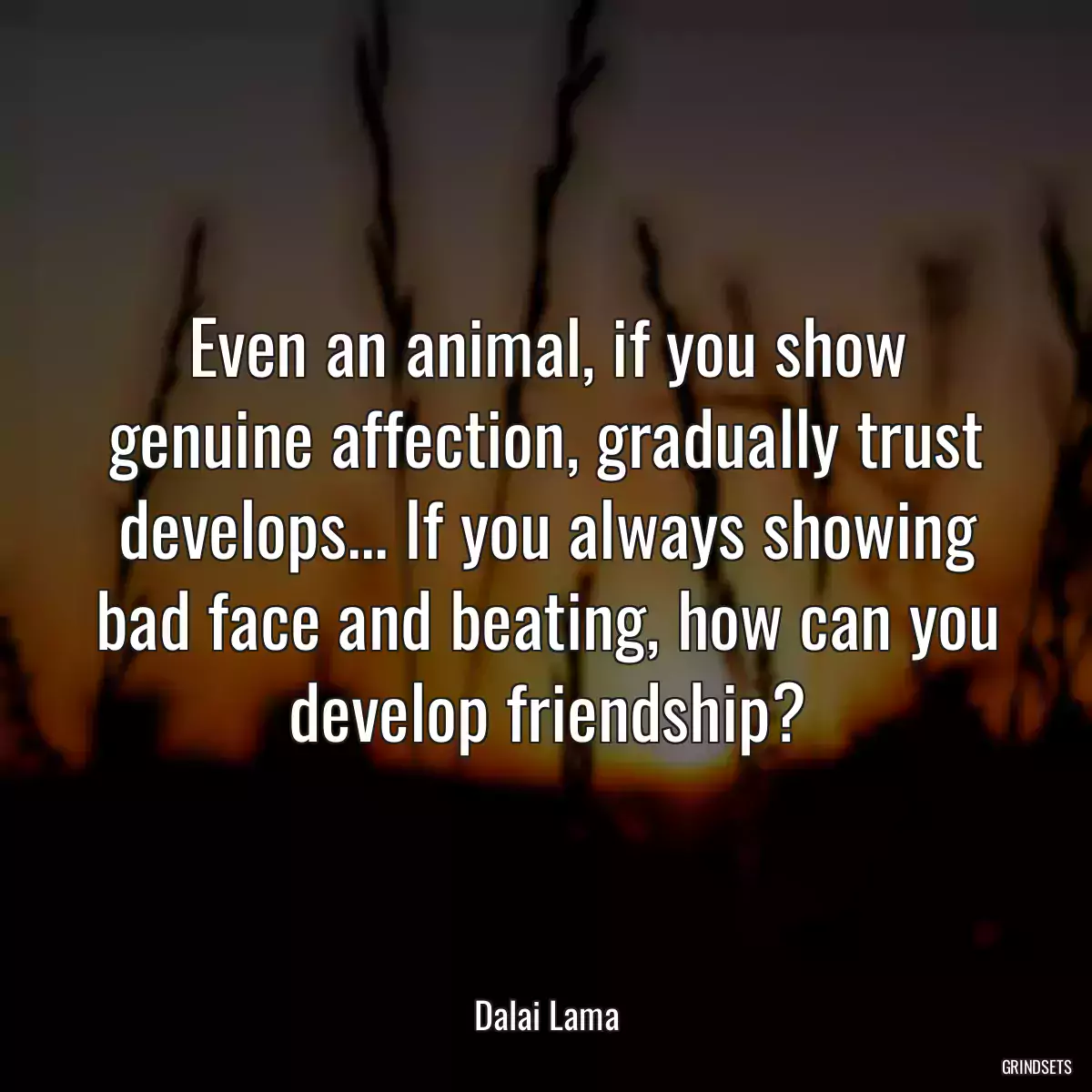 Even an animal, if you show genuine affection, gradually trust develops... If you always showing bad face and beating, how can you develop friendship?