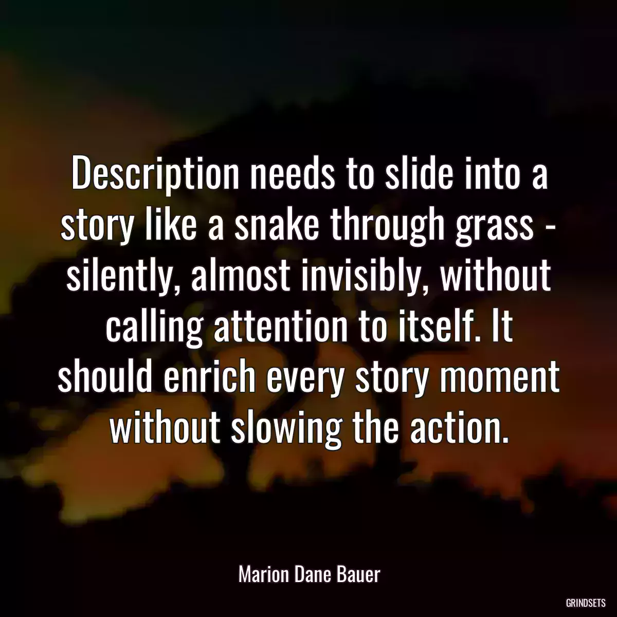 Description needs to slide into a story like a snake through grass - silently, almost invisibly, without calling attention to itself. It should enrich every story moment without slowing the action.