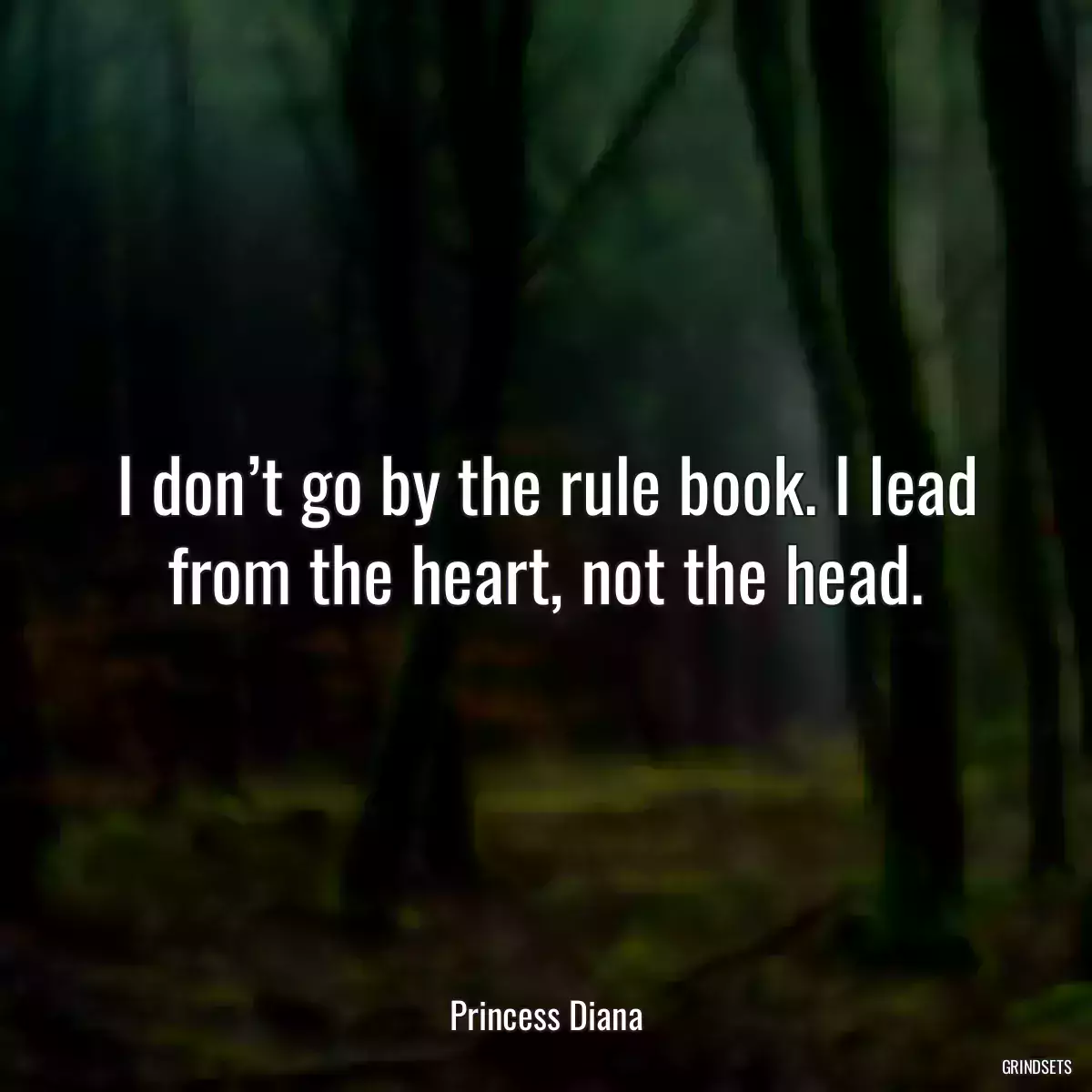 I don’t go by the rule book. I lead from the heart, not the head.