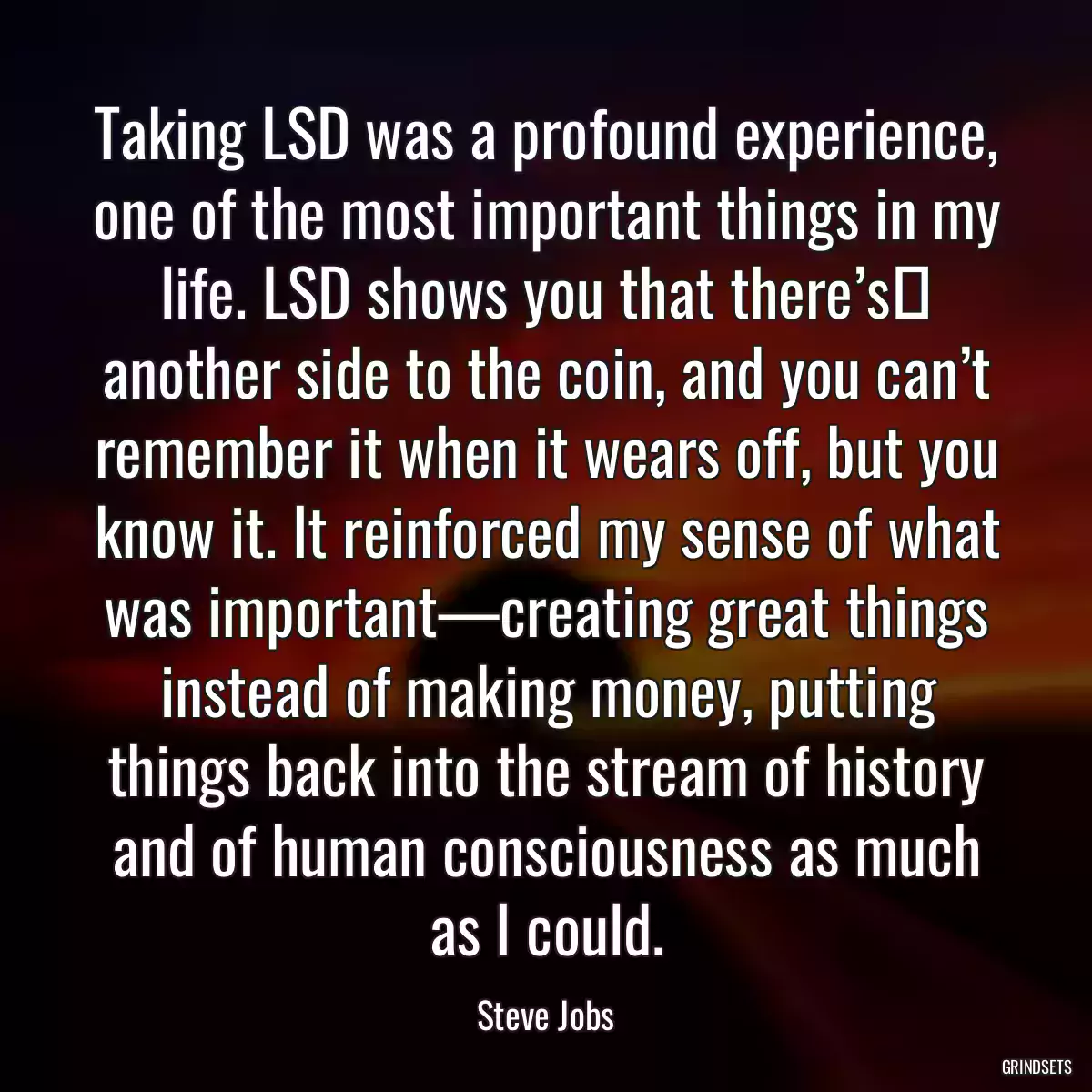 Taking LSD was a profound experience, one of the most important things in my life. LSD shows you that there’s﻿ another side to the coin, and you can’t remember it when it wears off, but you know it. It reinforced my sense of what was important—creating great things instead of making money, putting things back into the stream of history and of human consciousness as much as I could.