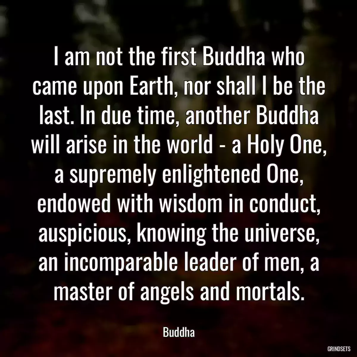 I am not the first Buddha who came upon Earth, nor shall I be the last. In due time, another Buddha will arise in the world - a Holy One, a supremely enlightened One, endowed with wisdom in conduct, auspicious, knowing the universe, an incomparable leader of men, a master of angels and mortals.