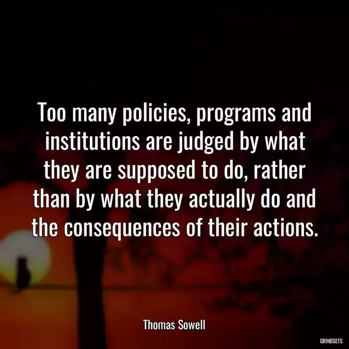 Too many policies, programs and institutions are judged by what they are supposed to do, rather than by what they actually do and the consequences of their actions.