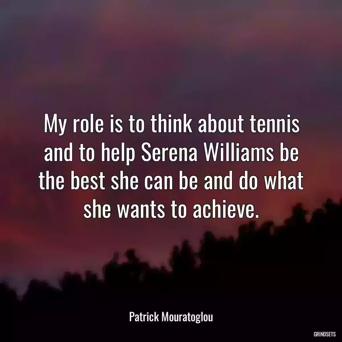 My role is to think about tennis and to help Serena Williams be the best she can be and do what she wants to achieve.