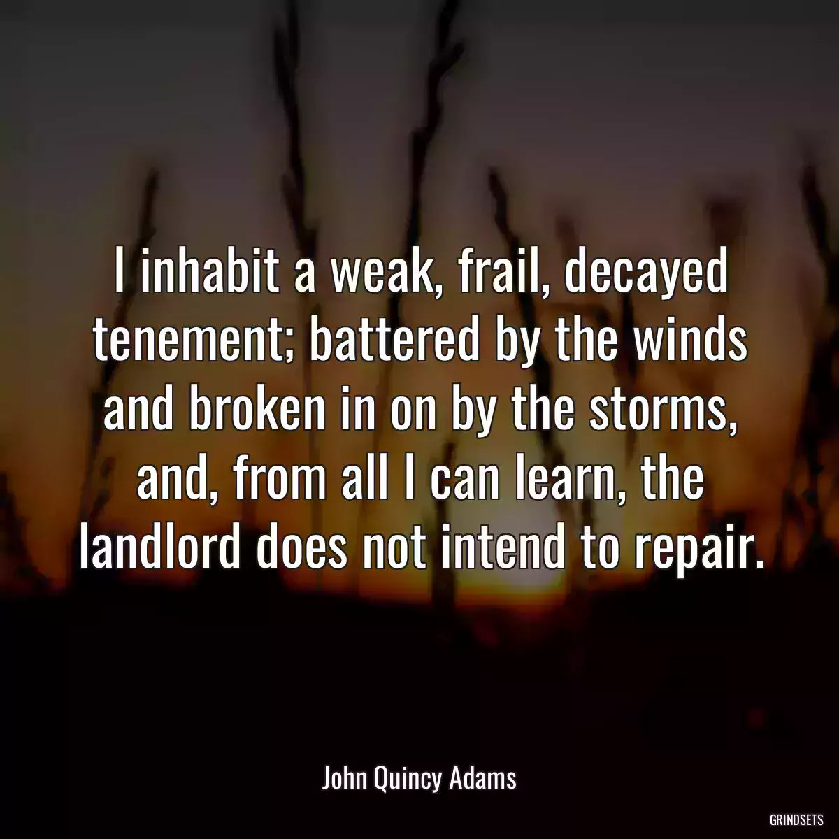 I inhabit a weak, frail, decayed tenement; battered by the winds and broken in on by the storms, and, from all I can learn, the landlord does not intend to repair.