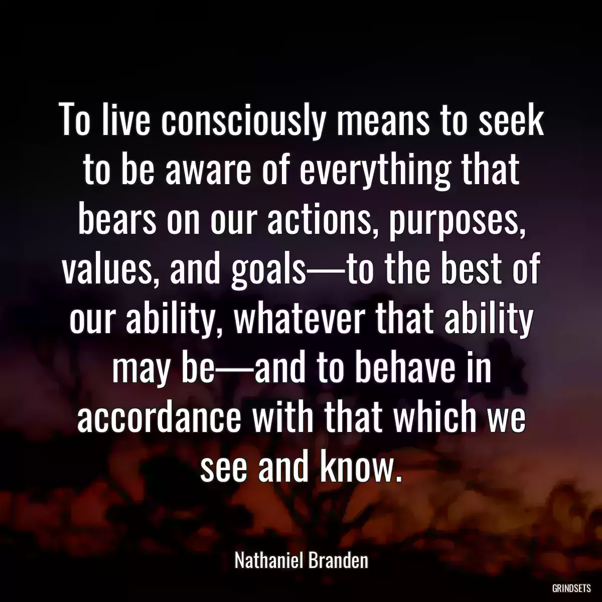 To live consciously means to seek to be aware of everything that bears on our actions, purposes, values, and goals—to the best of our ability, whatever that ability may be—and to behave in accordance with that which we see and know.