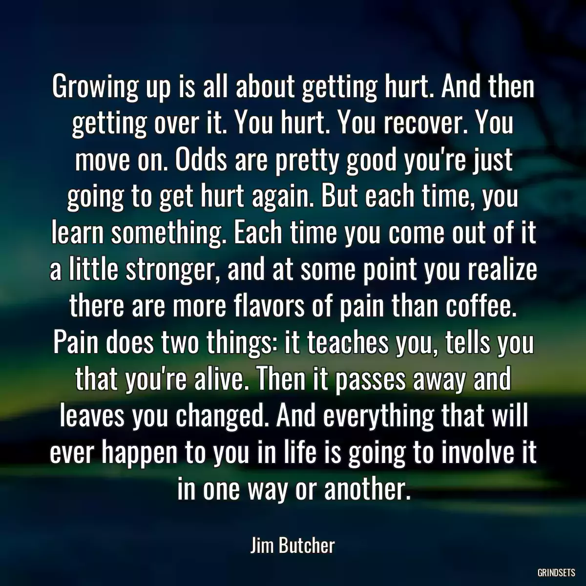 Growing up is all about getting hurt. And then getting over it. You hurt. You recover. You move on. Odds are pretty good you\'re just going to get hurt again. But each time, you learn something. Each time you come out of it a little stronger, and at some point you realize there are more flavors of pain than coffee. Pain does two things: it teaches you, tells you that you\'re alive. Then it passes away and leaves you changed. And everything that will ever happen to you in life is going to involve it in one way or another.