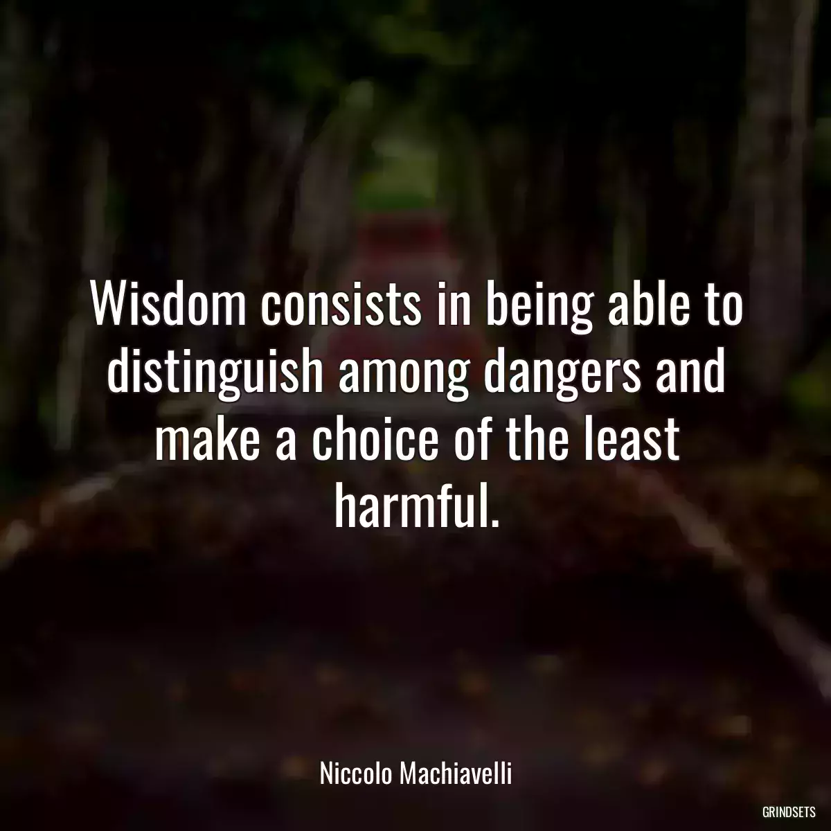 Wisdom consists in being able to distinguish among dangers and make a choice of the least harmful.