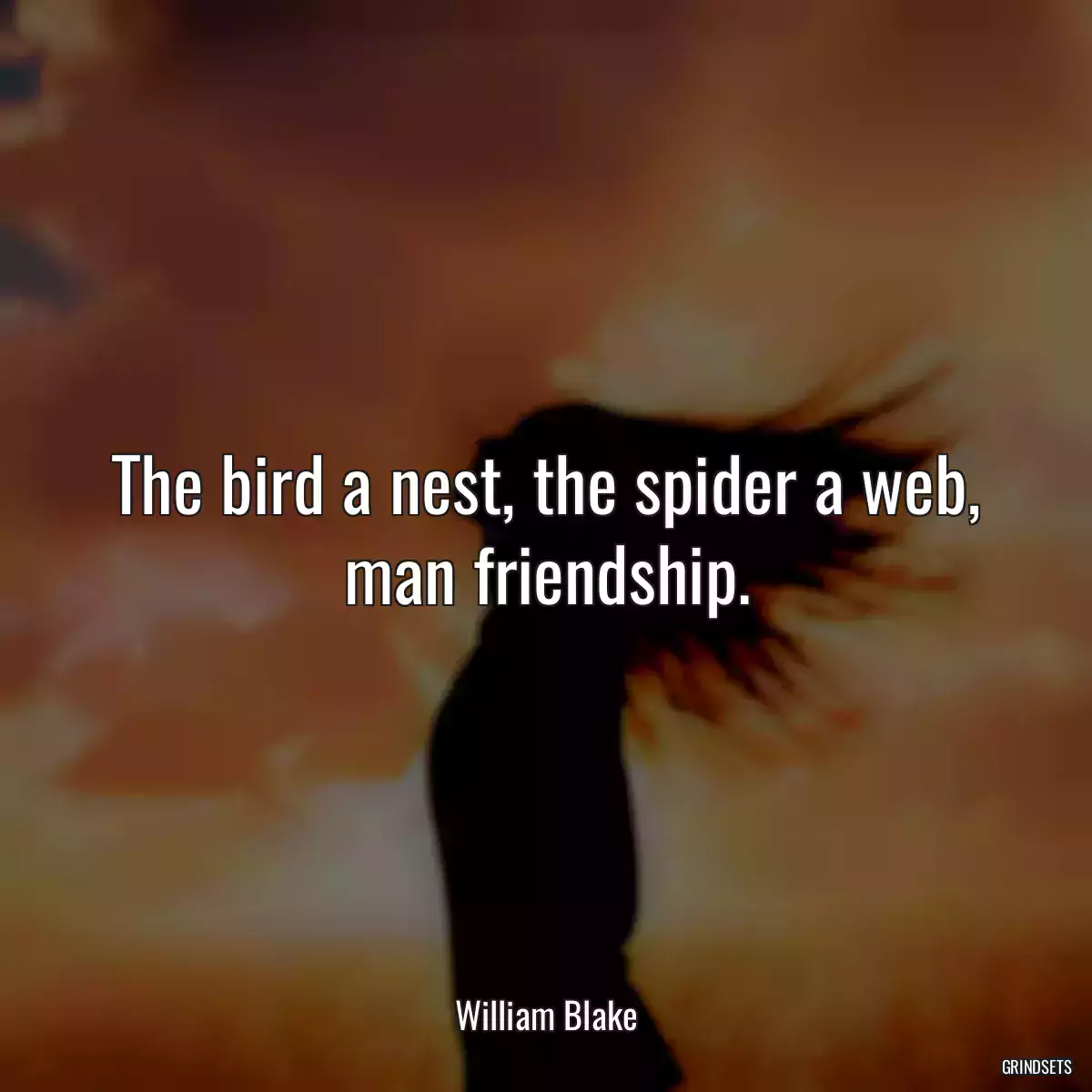 The bird a nest, the spider a web, man friendship.