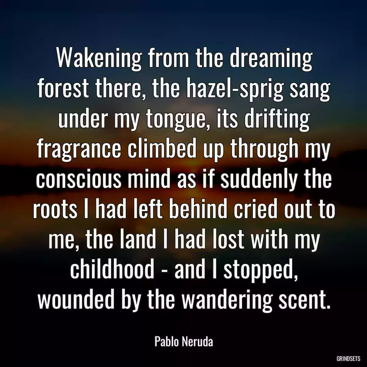 Wakening from the dreaming forest there, the hazel-sprig sang under my tongue, its drifting fragrance climbed up through my conscious mind as if suddenly the roots I had left behind cried out to me, the land I had lost with my childhood - and I stopped, wounded by the wandering scent.