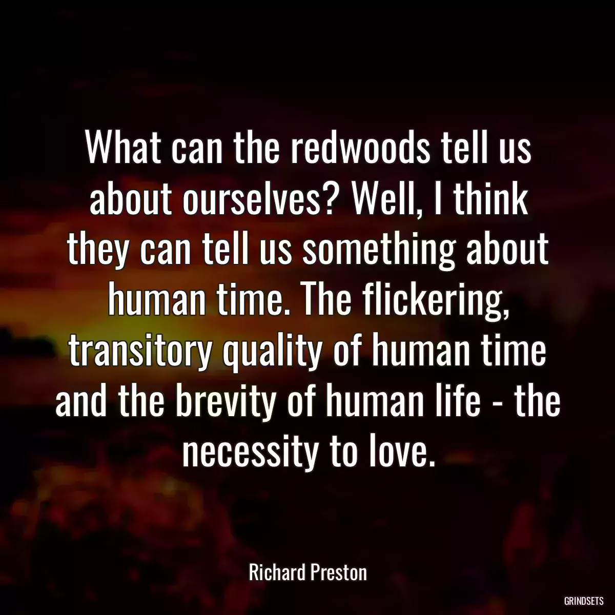 What can the redwoods tell us about ourselves? Well, I think they can tell us something about human time. The flickering, transitory quality of human time and the brevity of human life - the necessity to love.