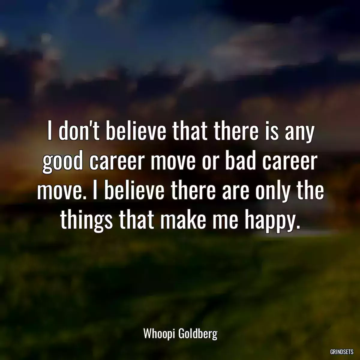 I don\'t believe that there is any good career move or bad career move. I believe there are only the things that make me happy.