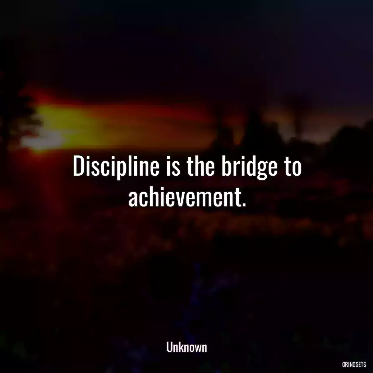 Discipline is the bridge to achievement.