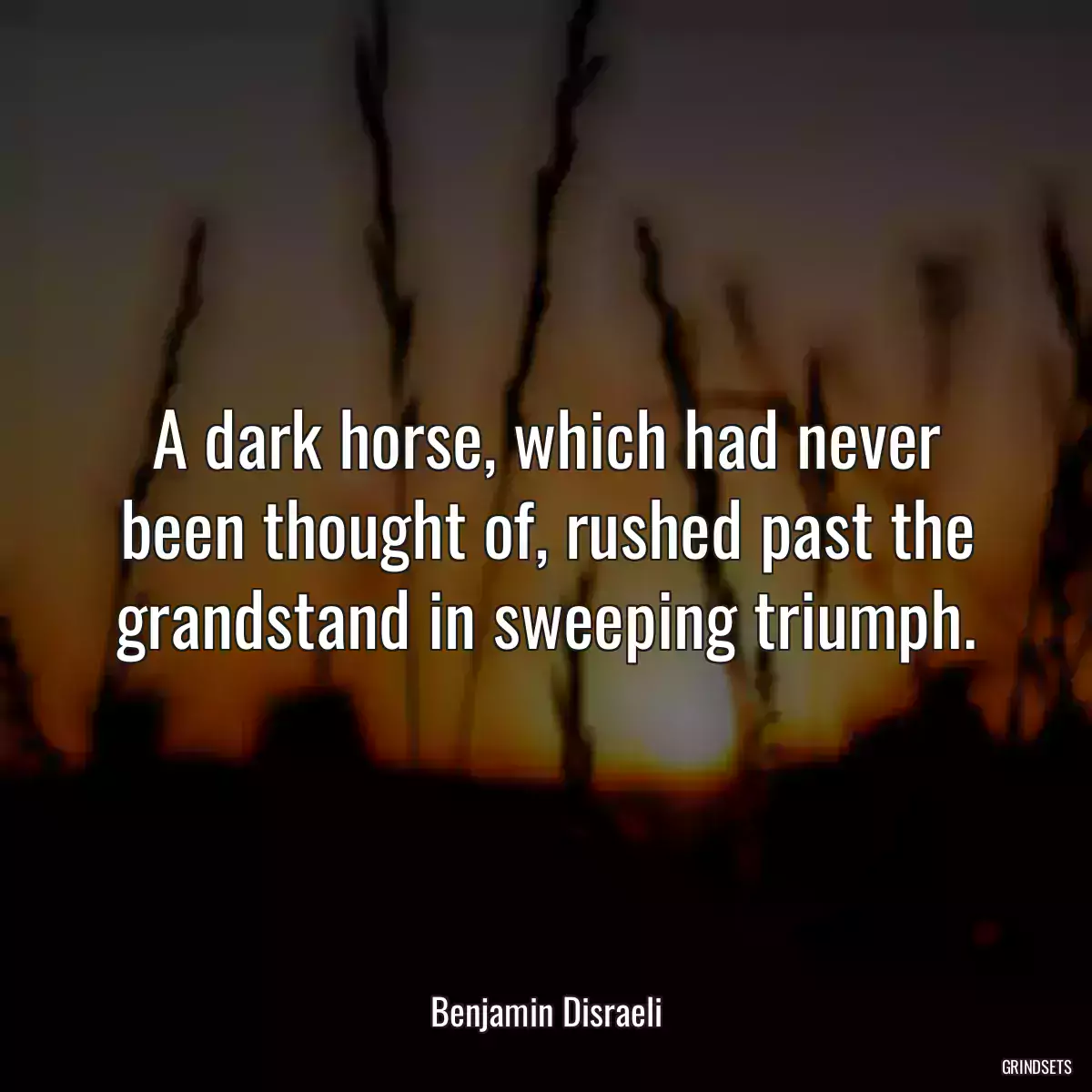 A dark horse, which had never been thought of, rushed past the grandstand in sweeping triumph.