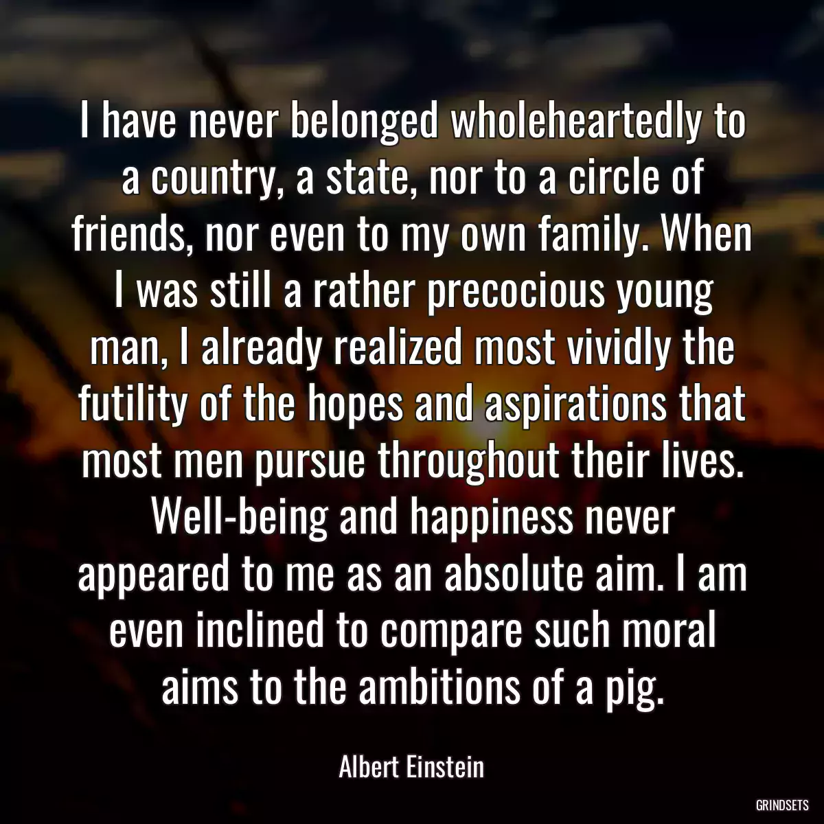 I have never belonged wholeheartedly to a country, a state, nor to a circle of friends, nor even to my own family. When I was still a rather precocious young man, I already realized most vividly the futility of the hopes and aspirations that most men pursue throughout their lives. Well-being and happiness never appeared to me as an absolute aim. I am even inclined to compare such moral aims to the ambitions of a pig.