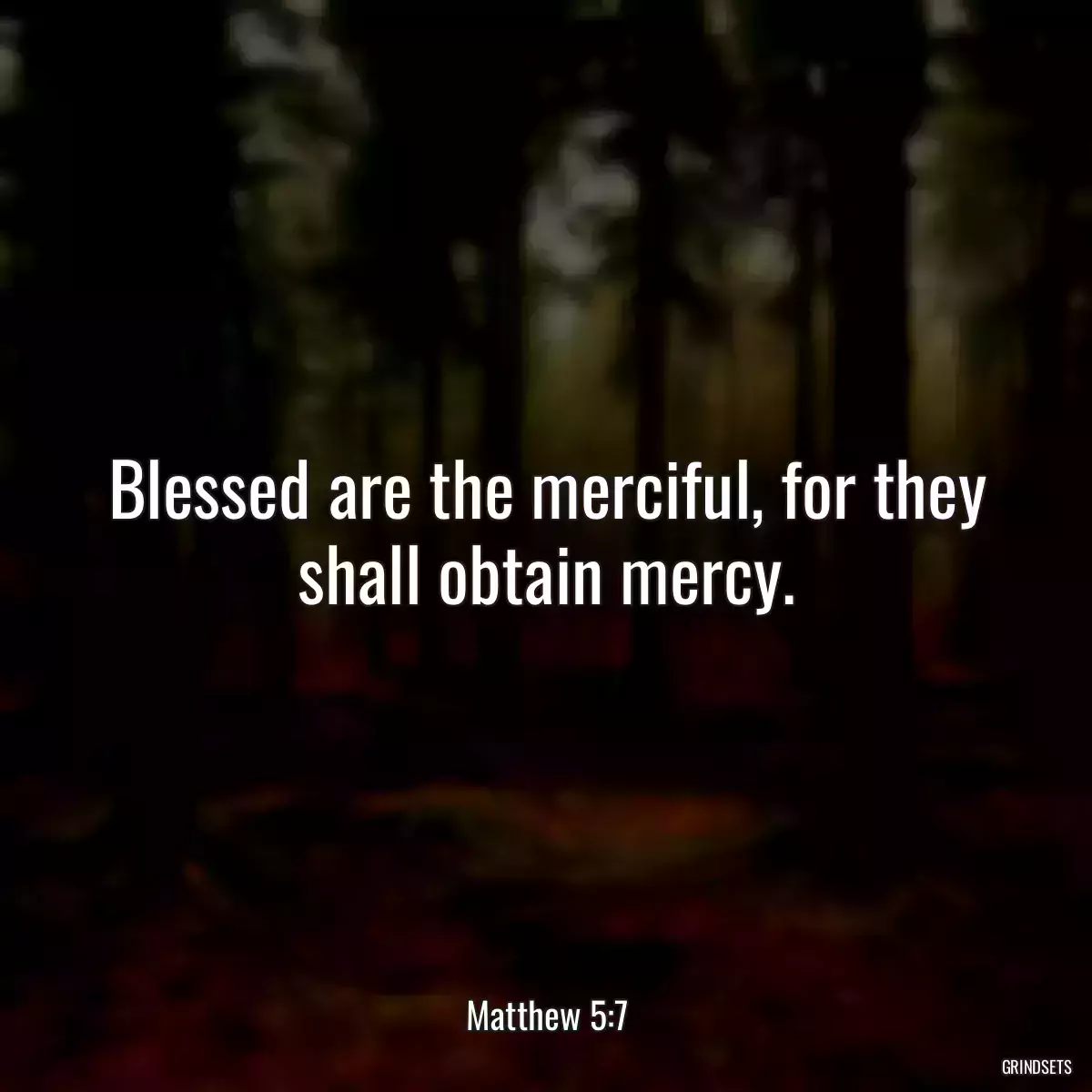 Blessed are the merciful, for they shall obtain mercy.