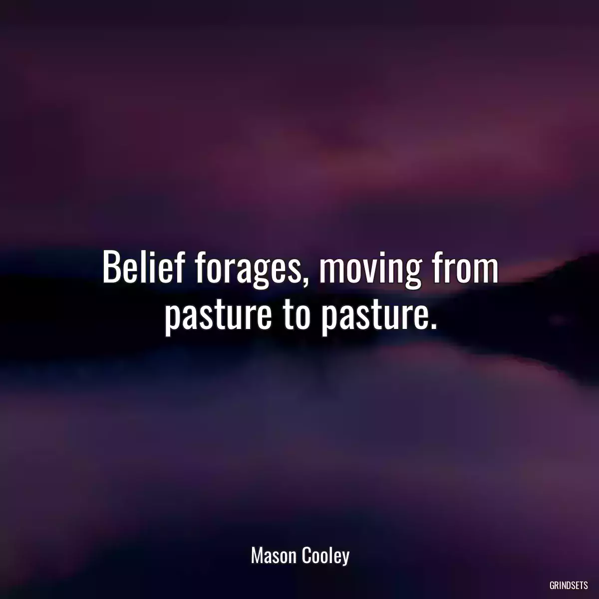 Belief forages, moving from pasture to pasture.