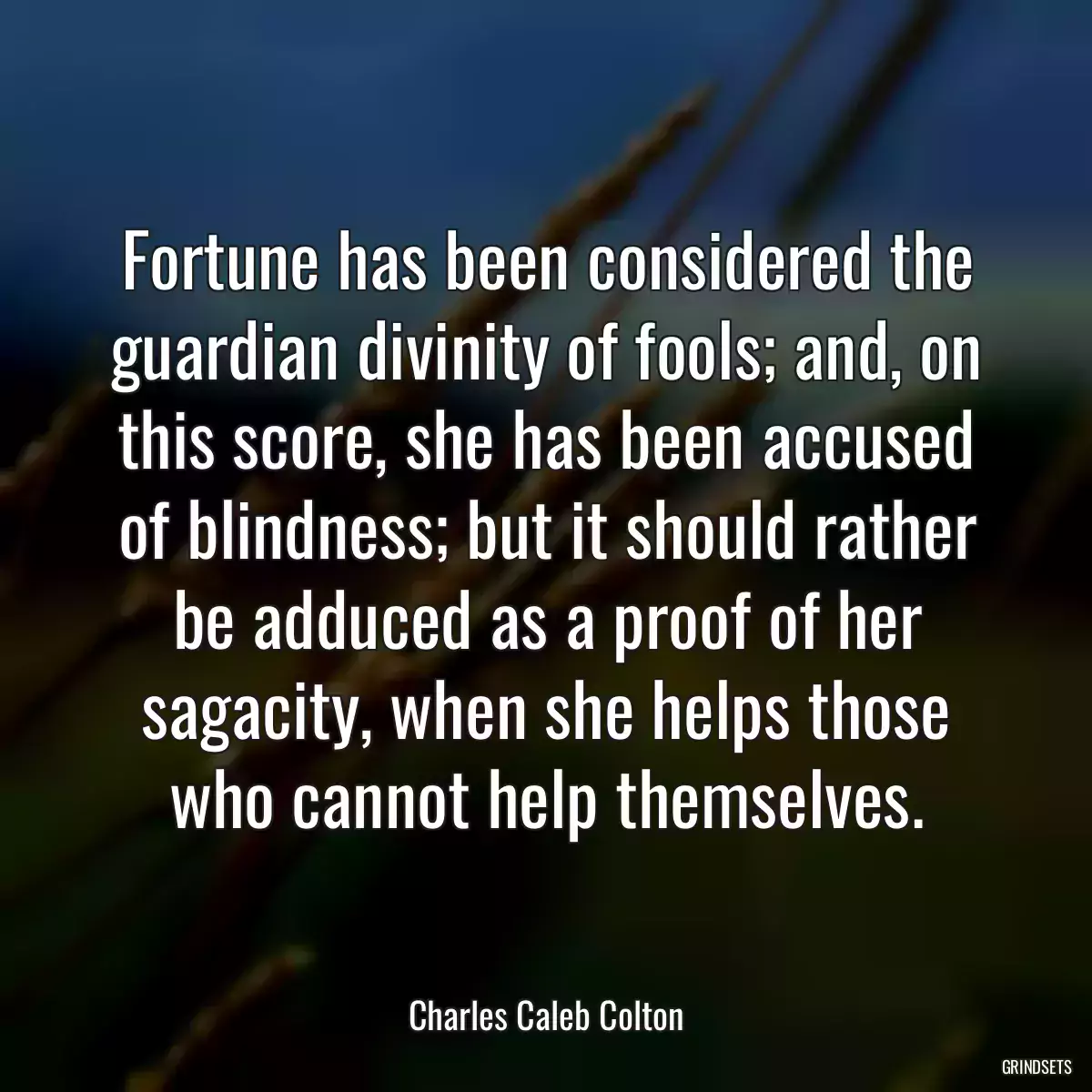 Fortune has been considered the guardian divinity of fools; and, on this score, she has been accused of blindness; but it should rather be adduced as a proof of her sagacity, when she helps those who cannot help themselves.