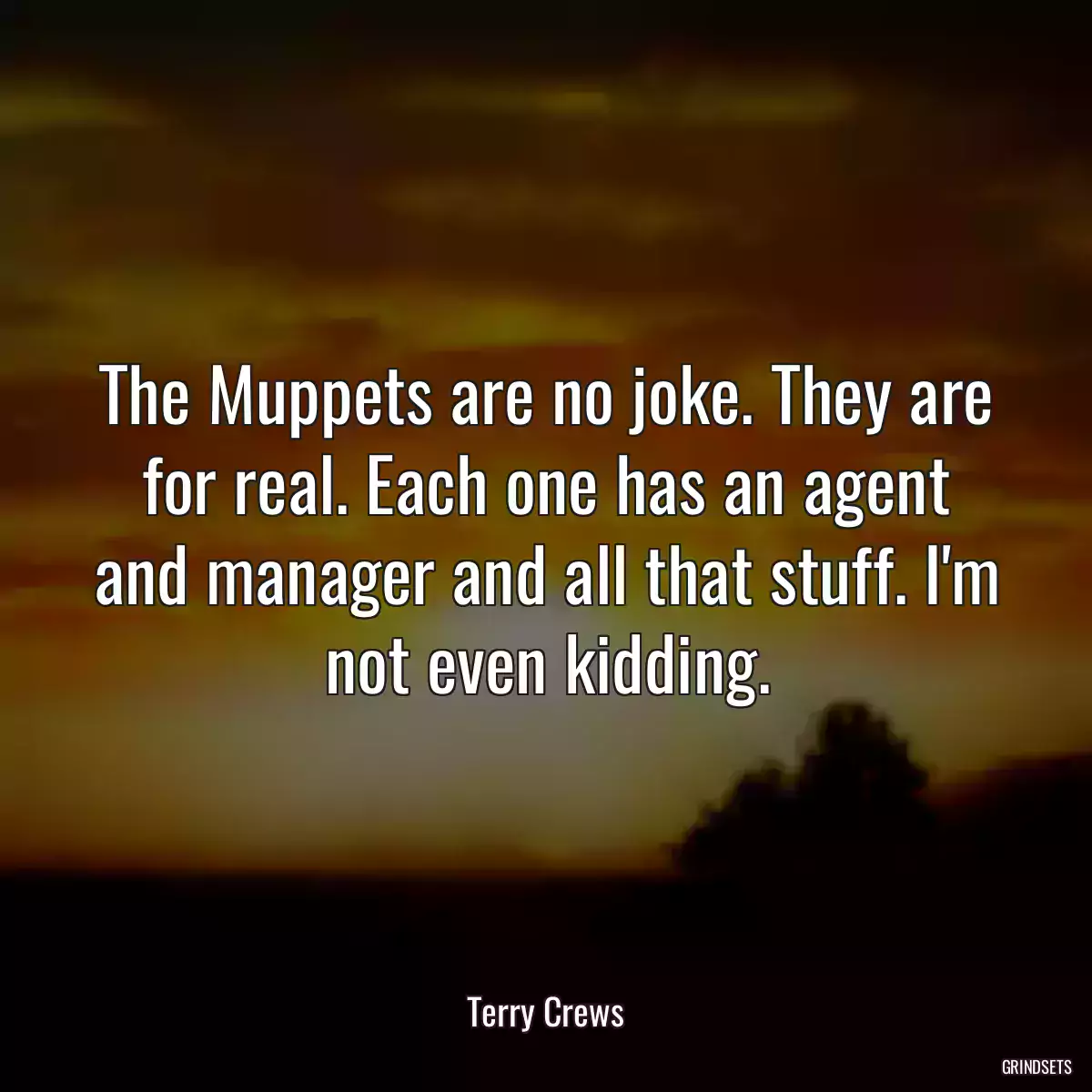 The Muppets are no joke. They are for real. Each one has an agent and manager and all that stuff. I\'m not even kidding.