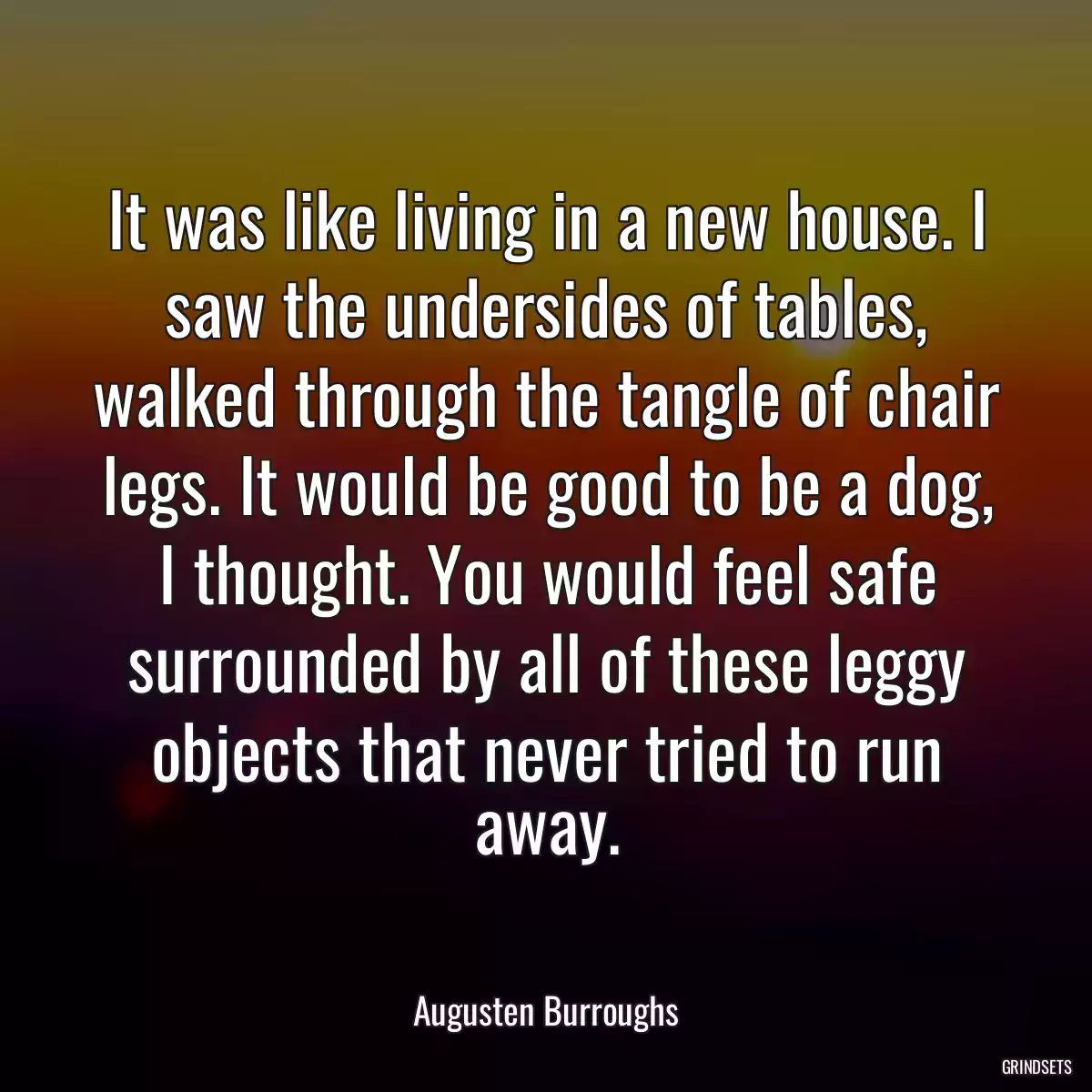 It was like living in a new house. I saw the undersides of tables, walked through the tangle of chair legs. It would be good to be a dog, I thought. You would feel safe surrounded by all of these leggy objects that never tried to run away.