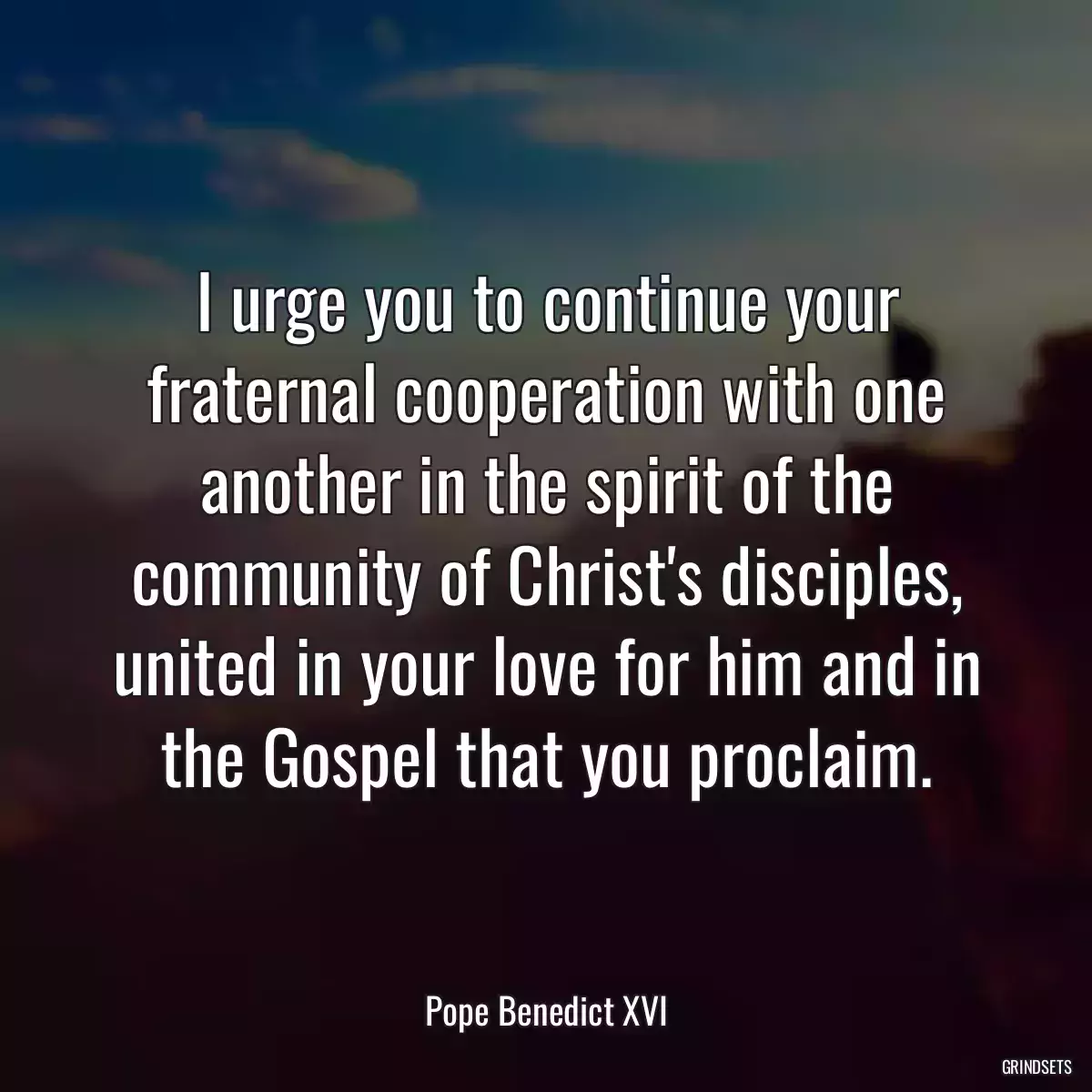 I urge you to continue your fraternal cooperation with one another in the spirit of the community of Christ\'s disciples, united in your love for him and in the Gospel that you proclaim.