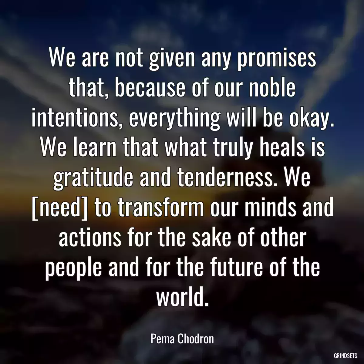 We are not given any promises that, because of our noble intentions, everything will be okay. We learn that what truly heals is gratitude and tenderness. We [need] to transform our minds and actions for the sake of other people and for the future of the world.