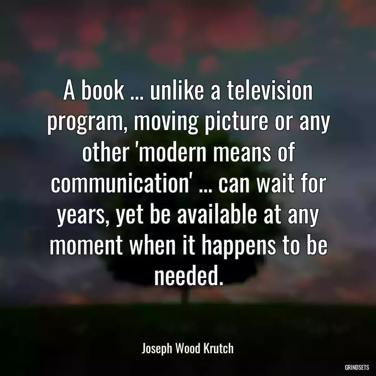 A book ... unlike a television program, moving picture or any other \'modern means of communication\' ... can wait for years, yet be available at any moment when it happens to be needed.