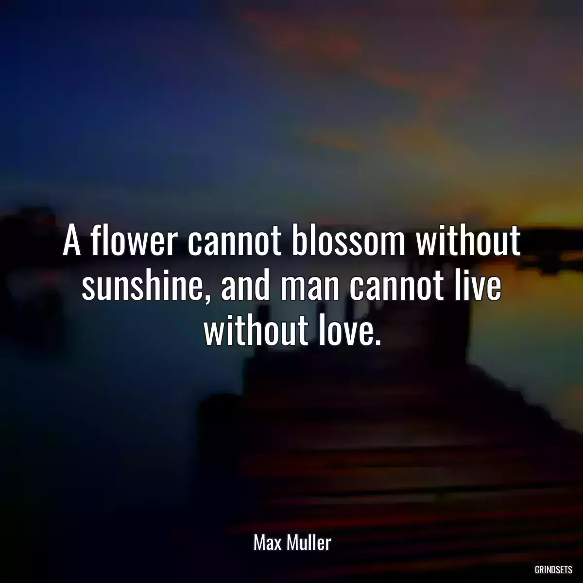 A flower cannot blossom without sunshine, and man cannot live without love.