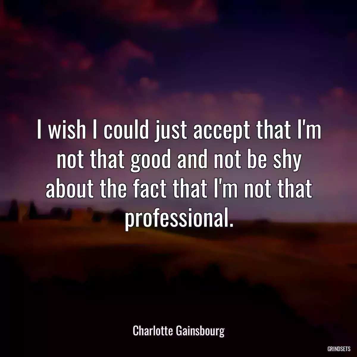 I wish I could just accept that I\'m not that good and not be shy about the fact that I\'m not that professional.