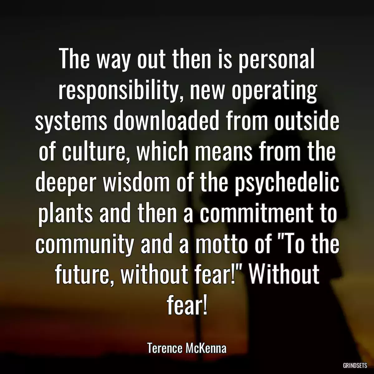 The way out then is personal responsibility, new operating systems downloaded from outside of culture, which means from the deeper wisdom of the psychedelic plants and then a commitment to community and a motto of \