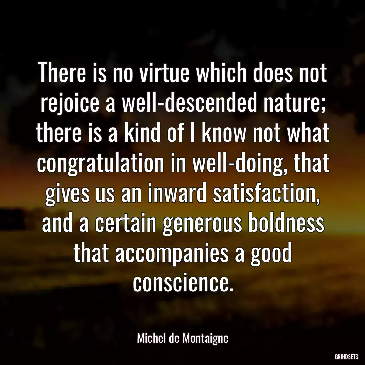 There is no virtue which does not rejoice a well-descended nature; there is a kind of I know not what congratulation in well-doing, that gives us an inward satisfaction, and a certain generous boldness that accompanies a good conscience.